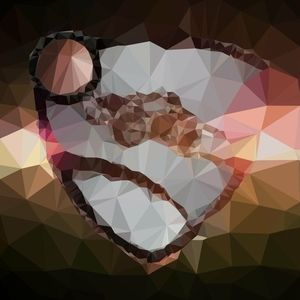 Meet your Posher, Sandrico